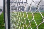 Sustainable Pvc Coated Chain Link Fence Easily Assembled