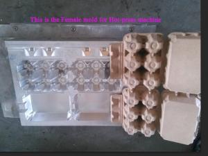 China 10 cavity egg box aluminum mould supplier from China on sale
