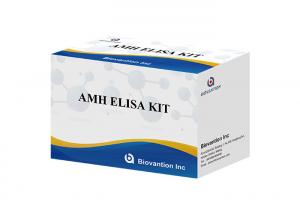 China Serum AMH Anti Mullerian Hormone Test Elisa Test Kit BIOVANTION on sale