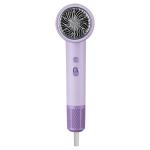 Purple OEM ODM Negative Ion Professional Blue Light Portable Home Hair Dryer