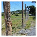 Galvanized Metal Farm Fencing 5-8ft Fixed Knot Deer Cattle Fence for Farm Field