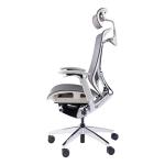 GTCHAIR Full Mesh Ergonomic Executive Chair Multiple Adjustabilities Sync