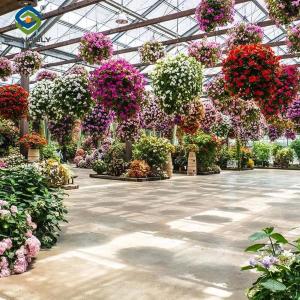 Wholesale Stronger Structure Flower Greenhouse Waterproofing Weather Resistant from china suppliers