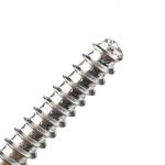 Customized Support Stainless Steel 304 A2 Pozi Drive Self Tapping Screw Cross