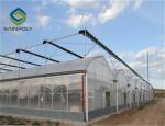Venlo Roof 9.6m Multi Span Greenhouse For Vegetables