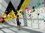 Sienna Rock Climbing Holds Wooden Composite Panels for a Wide Range of Climbing