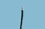 GF-UE160-AL5 High Resolution Images Gastroscope 360 Degree Full Scanning