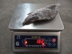Top quality frozen Tilapia fish of frozen tilapia whole round