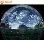 Ball Screen Audiovisual Impact High Speed Challenge Stimulus Vr Cinema