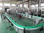 Full Automatic 1000BPH-45000BPH Mineral Water Production Line for Large Scale