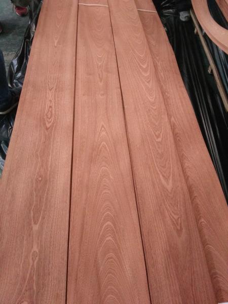 Crown Sapele Sapeli Sapelli Natural Wood Veneer for Furniture Door Panel