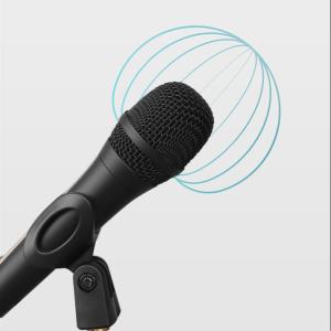 Wholesale Wired Studio Condenser Microphone With Audio Interface 65dB SNR from china suppliers