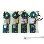 Customizable Gift Packaging Music Module with PCB Speaker Battery and Chargeable