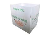 Fruit Vegetable Packing PP Cartonplast Grapes Packing Boxes Plastic Broccoli