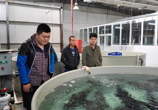 Automated Feeding Eco Friendly Ras Recirculating Aquaculture System Ras Fish