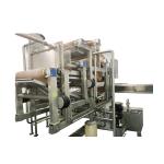 Fruit And Vegetable Mango Processing Line 50 Tons / Hour