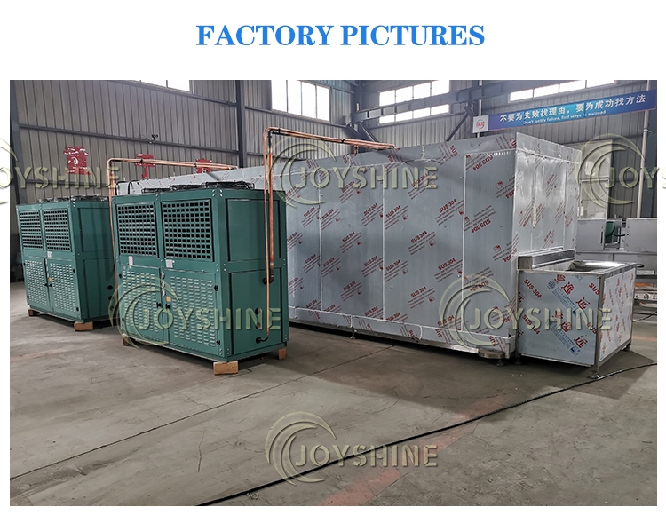 Air Cooling IQF Tunnel Freezer For French Fries Frozen Vegetable Chicken