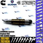 Fuel Injector Assembly 2872544 1948565 4905880 2086663 2057401 2872405 203183