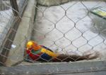 Flex Rugged Aviary Wire Netting , Stainless Steel Wire Mesh For Bird Cages