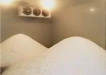 Ice Bag Cold Room Refrigerated Ice Storage Walk In Freezer