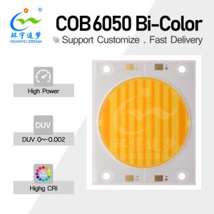 Wholesale High Lumen Output Dual Color COB LED 200W 200W 300W 300W 3838 5454 6050 Chip 2700K 6500K Ra98 For Photography Light from china suppliers