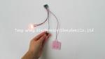Beautiful Lights 2 Colorful LED And 1 Button Flashing sound chip for toys