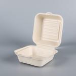 biodegradable disposable sugarcane bagasse takeaway food container packaging