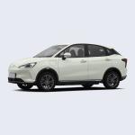 Neta V 400 Lite New Energy Electric Car GAC AION Y Small SUV 150Km/H