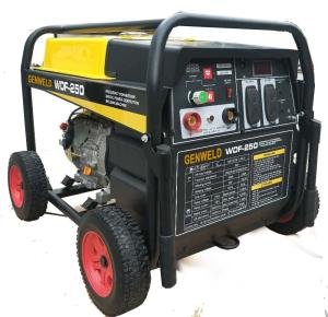 Wholesale Portable Gasoline Generators WDF-250 250A from china suppliers