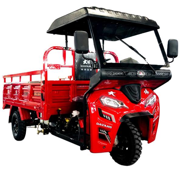 Rear Spring Leafs 5 2 Motorized Lift Cargo Tricycle in Egypt with Zongshen 250cc