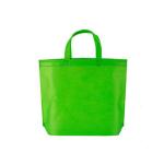 Fast Delivery PP Non Woven Ecofriendly Shopping Bag for Advertising