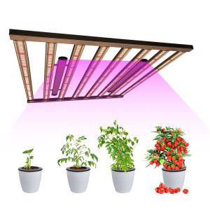 Wholesale 600W 650W 4x4 Samsung LM301H Led Grow Light For Indoor Plant from china suppliers