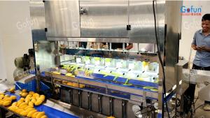 Wholesale Stainless Steel Mango Peeling Machine Suitable For Apples Potatoes Carrots Etc. Automatic Batch Peeling from china suppliers