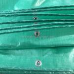 Water Resistant Other Fabric Coated Tarpaulin for High Strength HDPE Coated PE