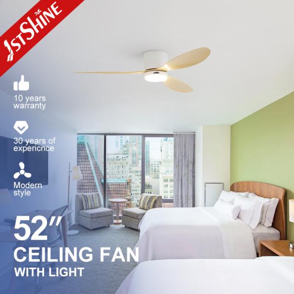 Modern Design 52 Inch 100%DC Motor Smart Home Ceiling Fan with Light from