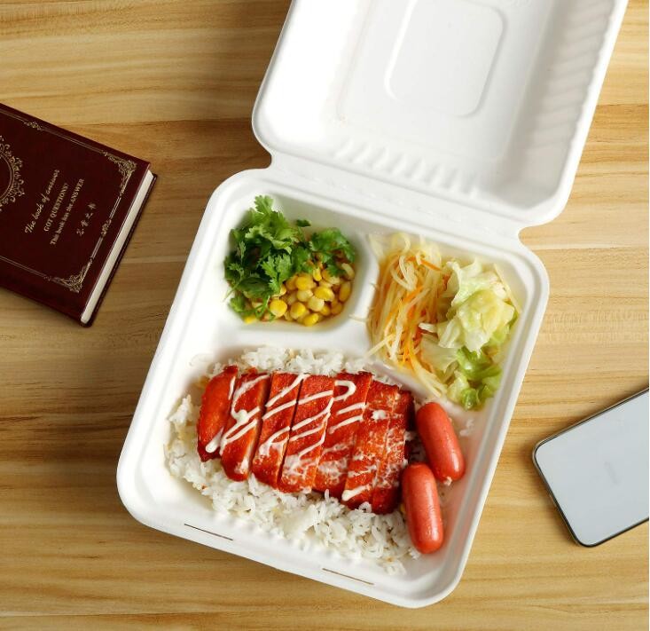 Biodegradable Eco Friendly 3 Compartment Bagasse Clamshell Containers 8 10 Inch
