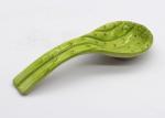 Green Vegetable Asparagus Ceramic Spoon Rest Cook Holder Dolomite Spoon Holder