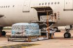 International Safe DDP Air Shipping With Destination Storage Service