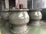 FF Connection Type Ball Type Axial Check Valve