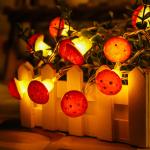 Mushroom String Lights Battery Powered LED and USB Silver Wire for Girls Bedroom