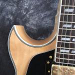 China Hollow Body Jazz Electric Guitar