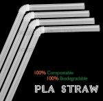 PLA straw biodegradable strawCorn starch 100% biodegradable non plastic drinking