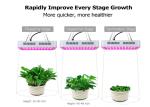 Indoor Garden 1200 Watt Grow Light With Fault Self Inspection System