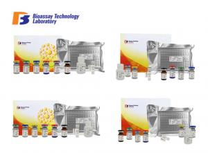 China Rat Fbg ELISA Test Kit Fibrinogen Immunoassays Test Kit With High Sensitivity and Specificity on sale