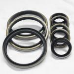 SEALS DKB Hydraulic Scraper Wiper Dust Oil Seals Versatile Packaging Options