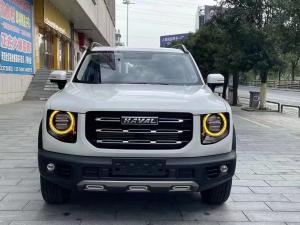 Wholesale Haval Big Dog 2022 2.0T DCT 4WD Chinese Pastoral Dog Version USED SUV from china suppliers