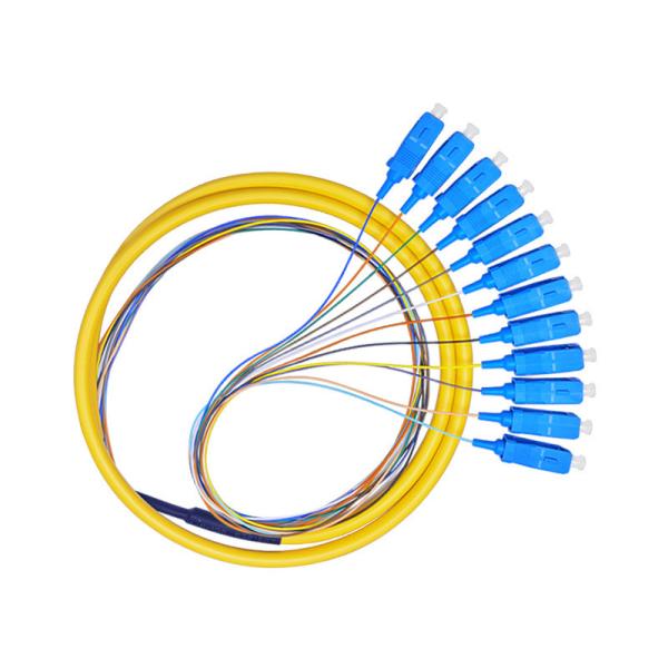 SC Single-Mode 12-Core Fiber Optic Cable APC/UPC Bundled Pigtail G652D 1.2M
