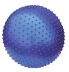 55cm Massage Gym Ball , Customized Logo Pilates Fit Ball Not Easy Damage