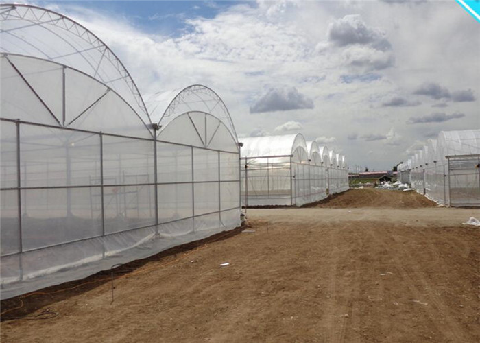Sunshine Restaurant Commercial Greenhouse , Outdoor Plastic Greenhouse Hot Galvanized Skeleton