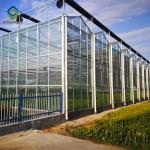 Large Size Generator Plastic Sheet Greenhouse With Project Commercial Hydroponic